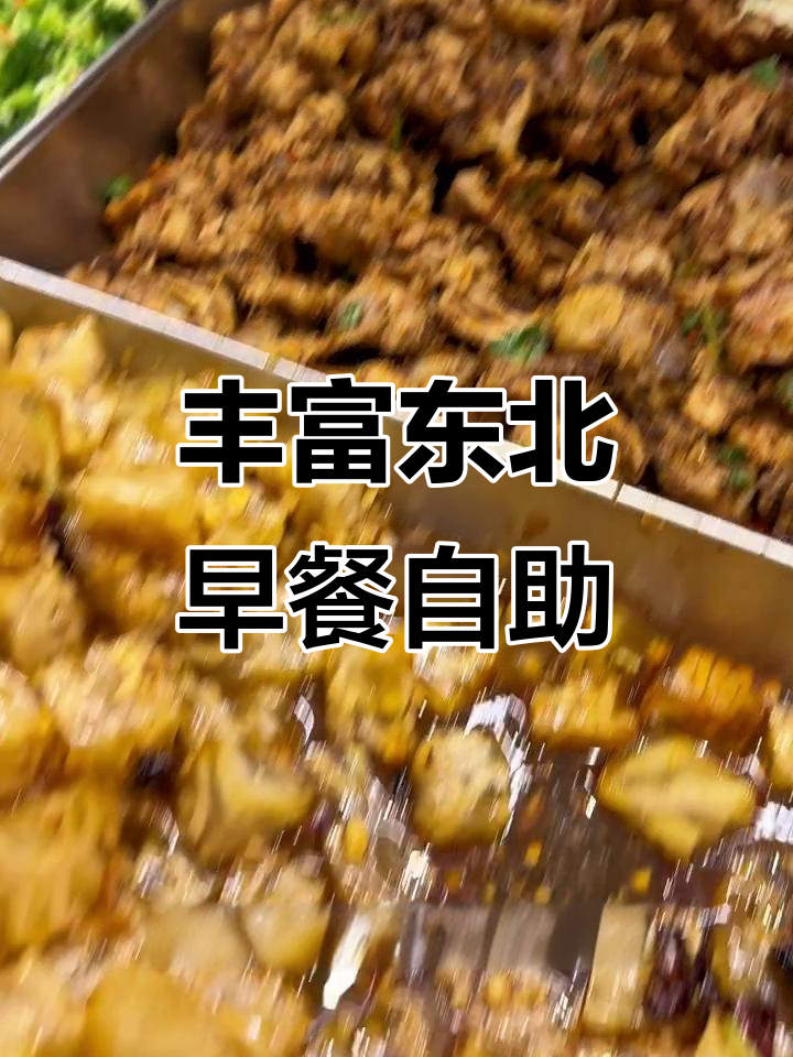 东北早餐自助大揭秘:二十种主食,四十道炒菜拌菜任你选