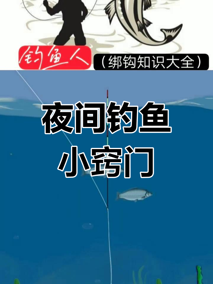 夜钓鲤鱼技巧:选对天气、位置和打窝时机