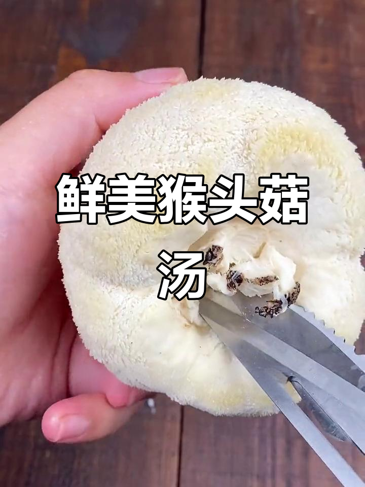 新鲜猴头菇炖乌鸡汤，滋补又美味