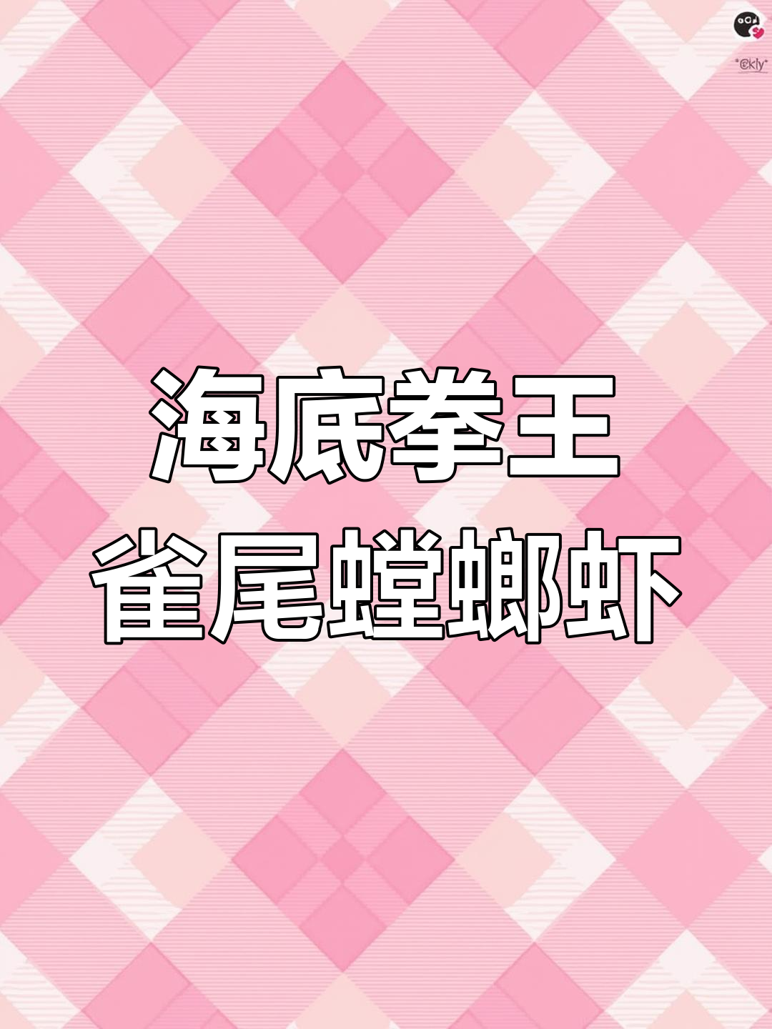 雀尾螳螂虾一拳打碎螃蟹钳,海底拳王威力惊人