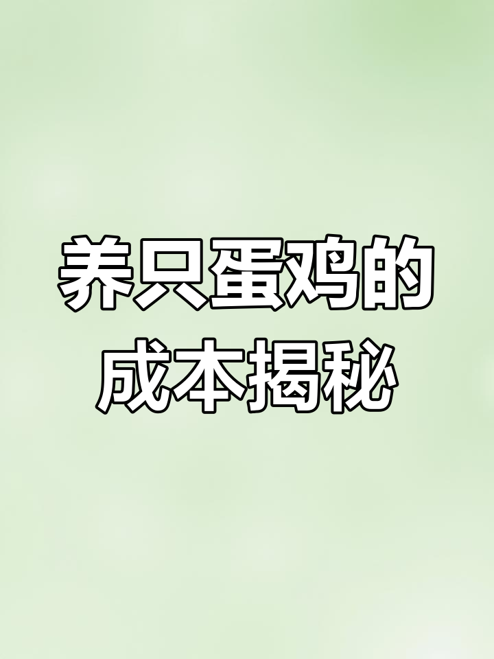 农村散养蛋鸡成本分析:一只鸡到底要花多少钱?