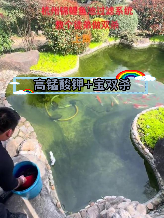 杭州庭院鱼池双杀处理技巧:高锰酸钾与宝双杀使用方法