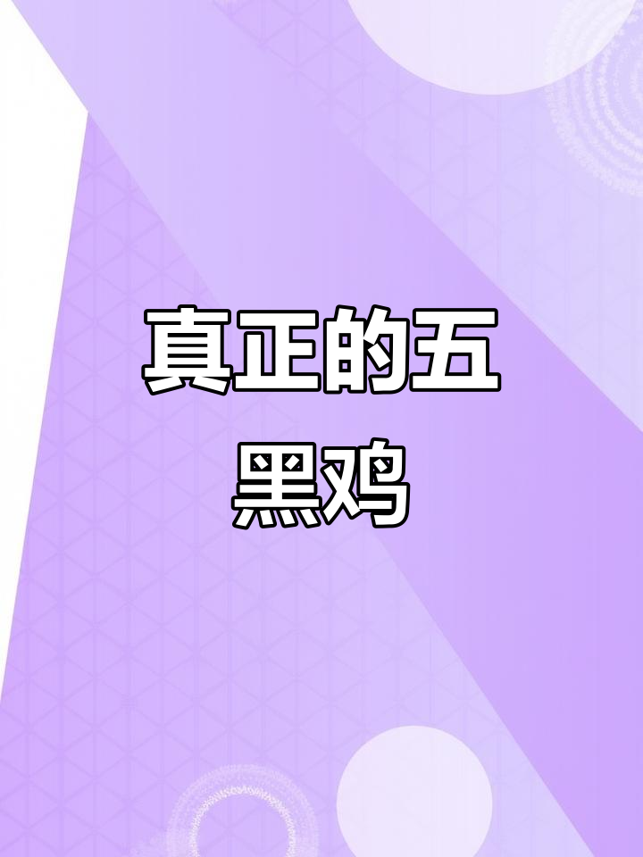 五黑鸡公母大不同,彩色的才是真五黑!