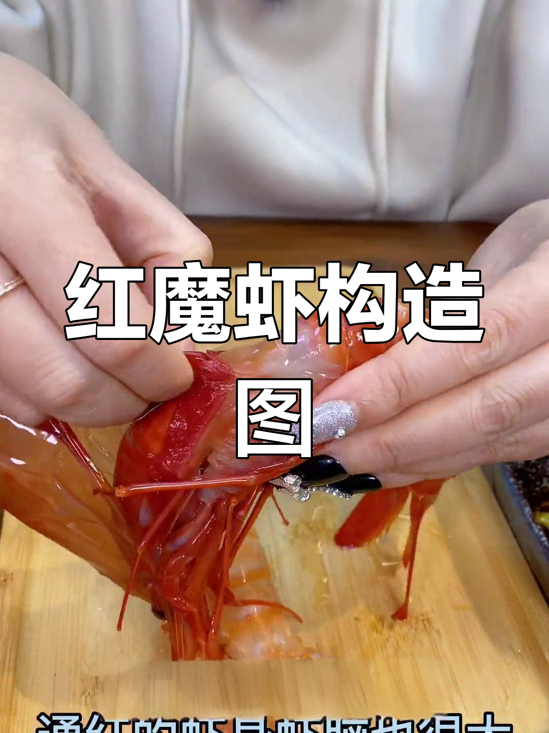 红魔虾的内部结构揭秘