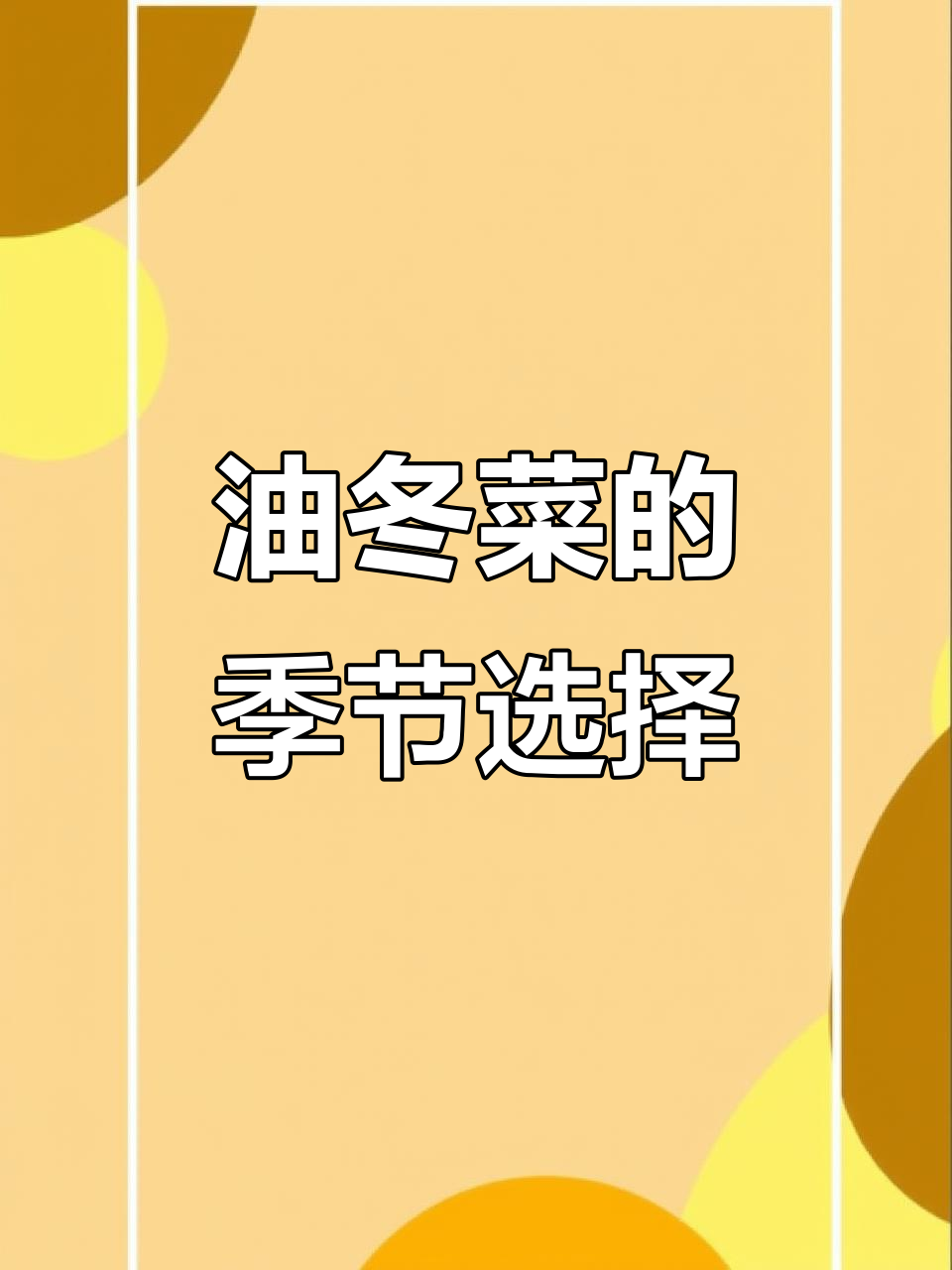 冬季养生首选，油冬菜清甜可口，吃出自然健康