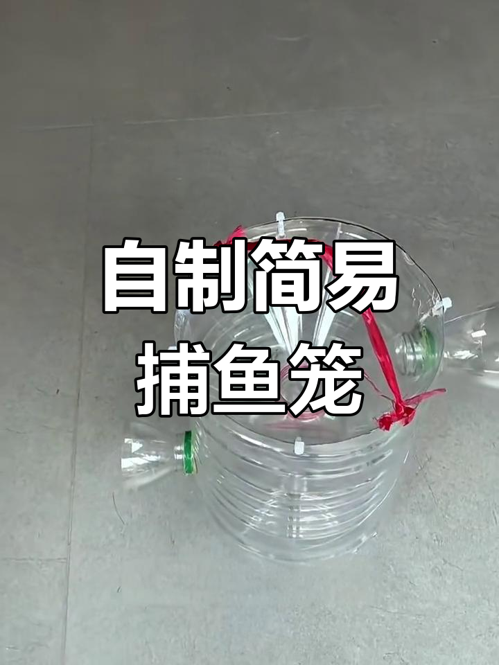 用矿泉水瓶做捕鱼神器,简单又实用