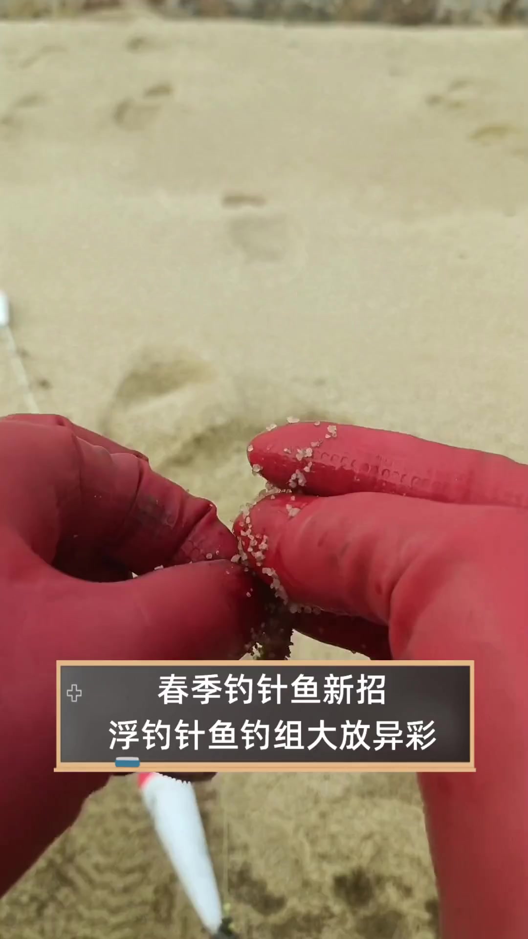 春季钓针鱼新招,浮钓针鱼钓组大放异彩