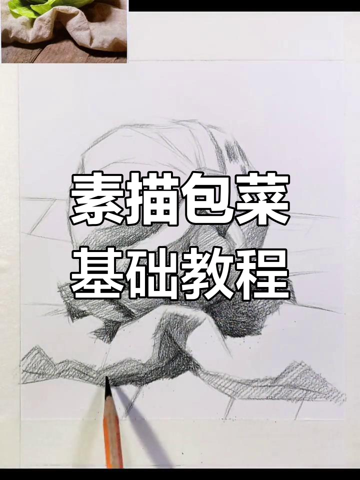 素描包菜从起形到铺色，掌握球体意识让画面更生动