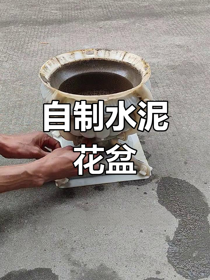 轻松自制水泥花盆,打造独特园艺景观