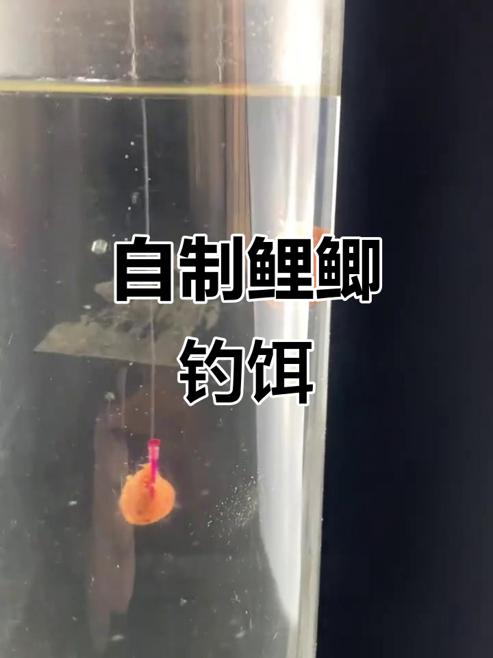 鲤鱼鲫鱼最爱红薯饵料，轻松制作爆护秘方