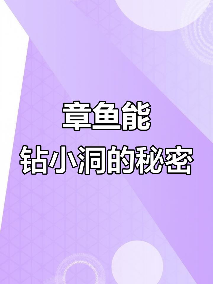 章鱼如何钻进小洞?揭秘它的神奇能力