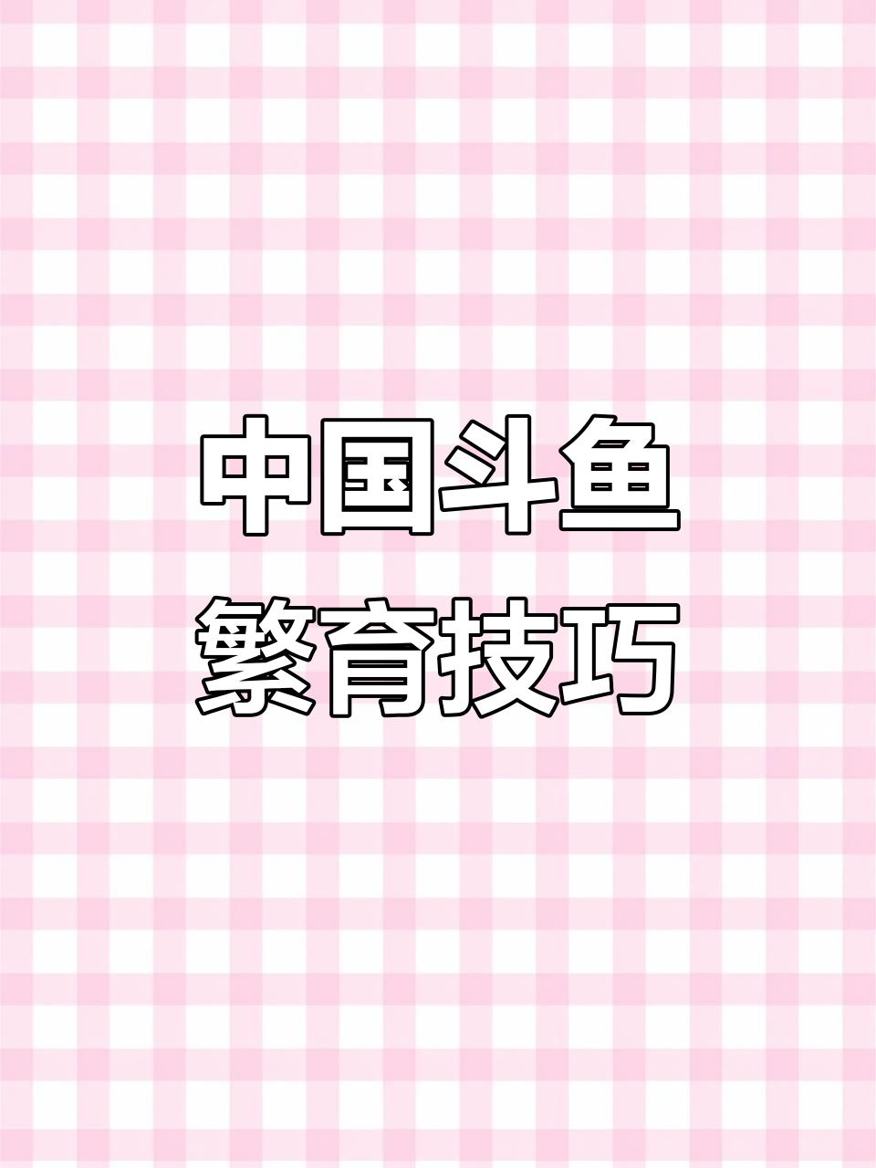 揭秘中国斗鱼繁殖技术,普叉水族养殖全攻略