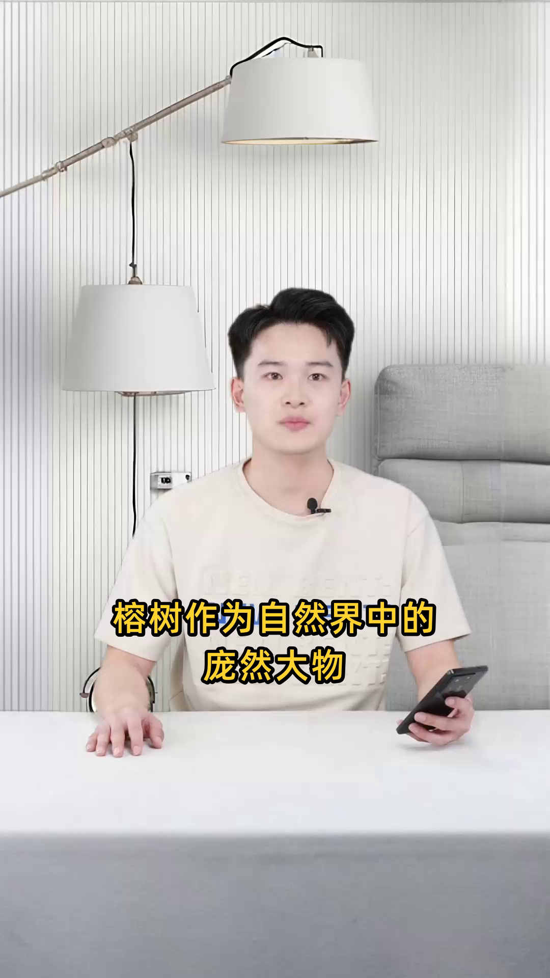 榕树的外貌特征是怎样的,其形态和树叶细节如何描述?