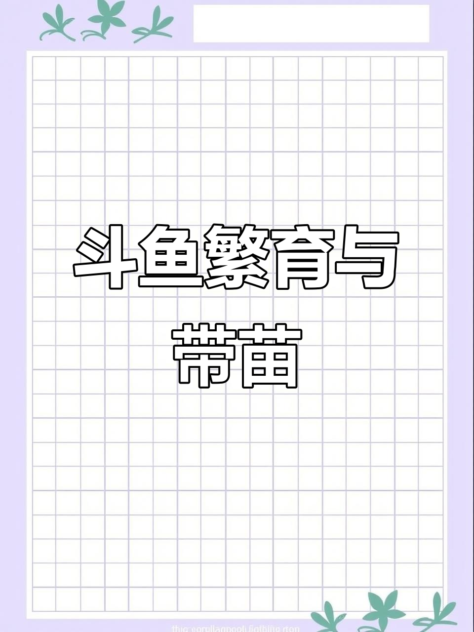 斗鱼繁殖技巧大揭秘,带你了解闪光多彩普叉的带苗方法