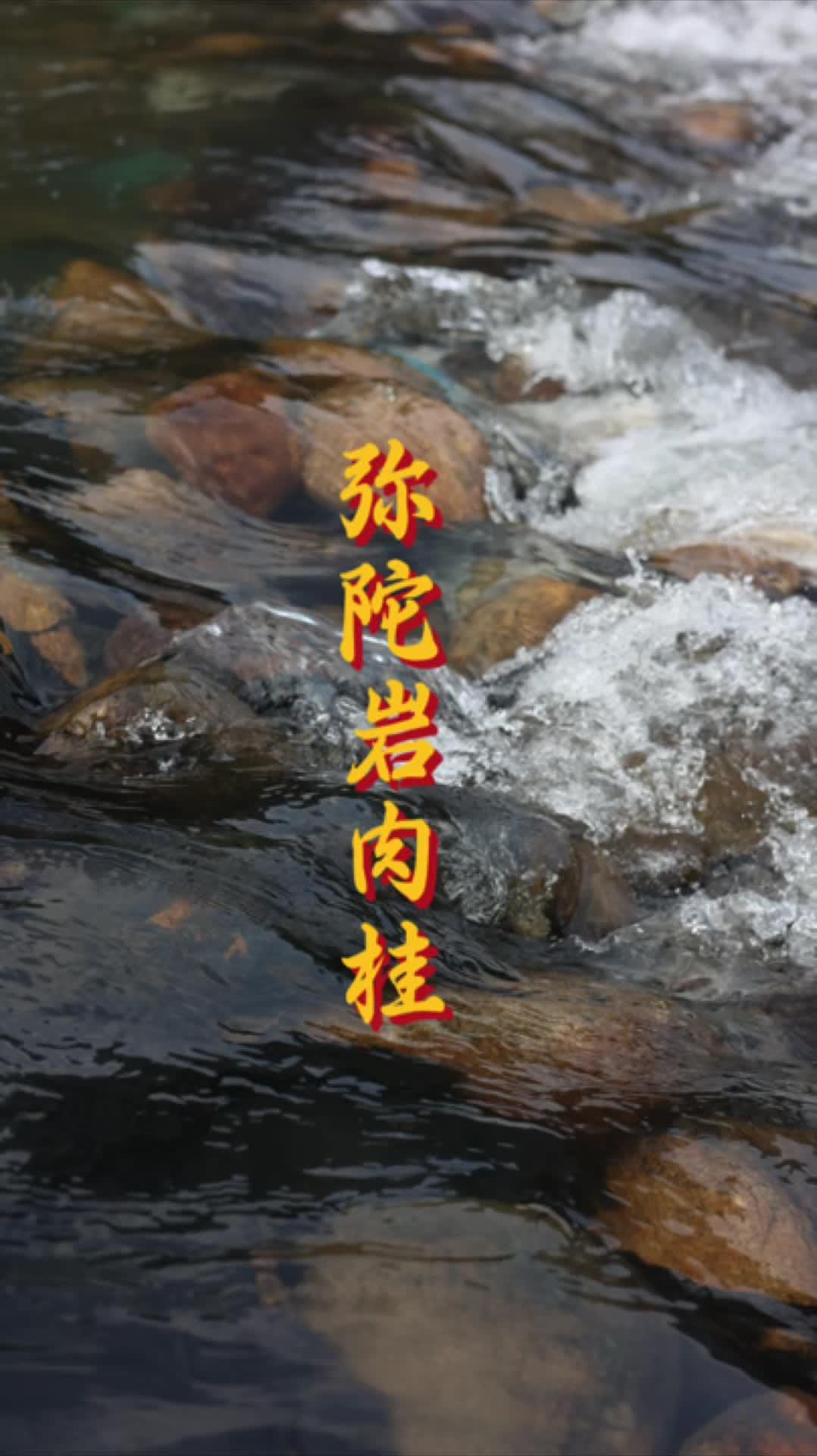 更新版本 中火 弥陀岩肉桂 中火 甜度高 接受度高 熟桂皮 做日常口粮喝