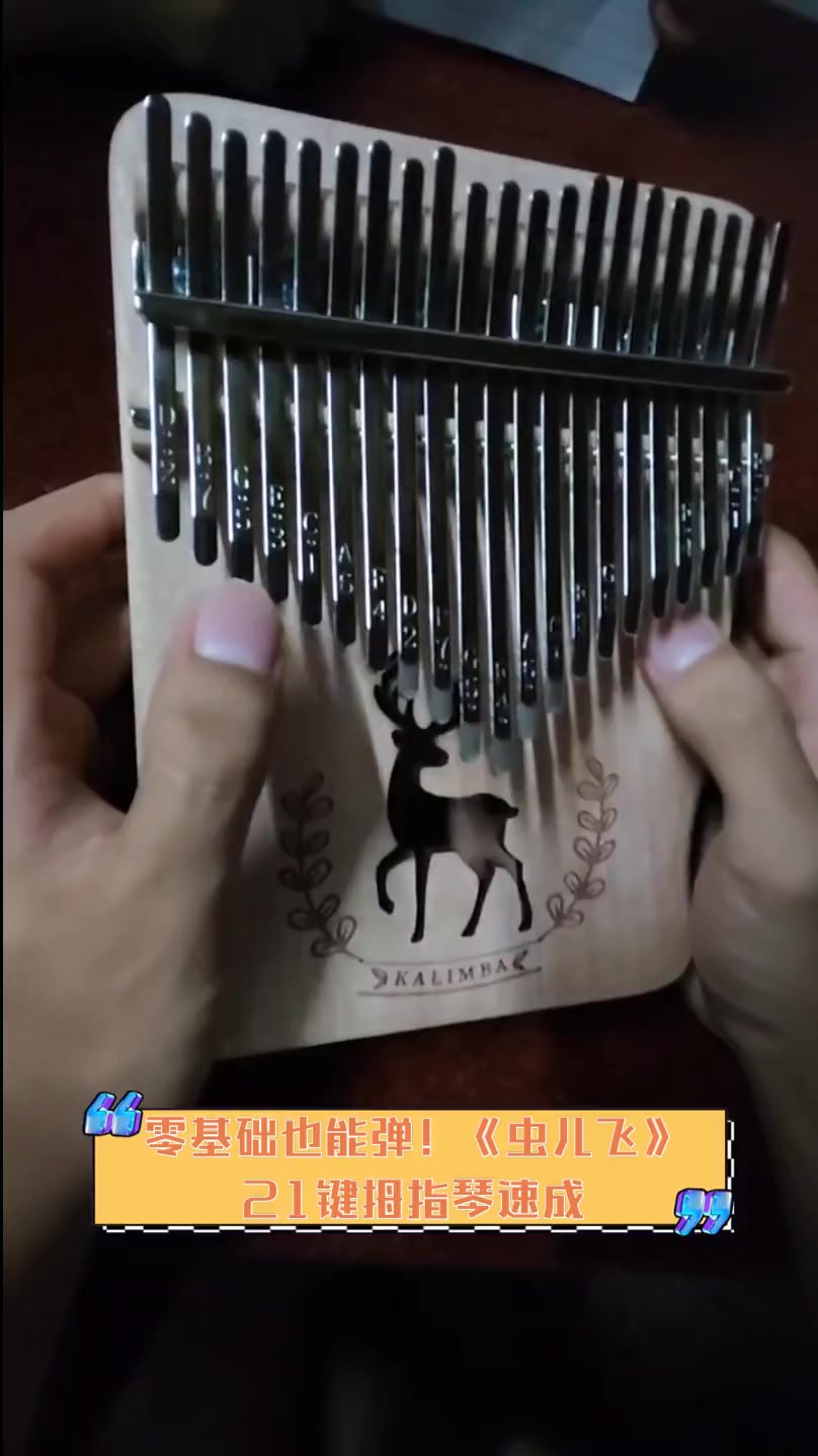 零基础也能弹!《虫儿飞》21键拇指琴速成