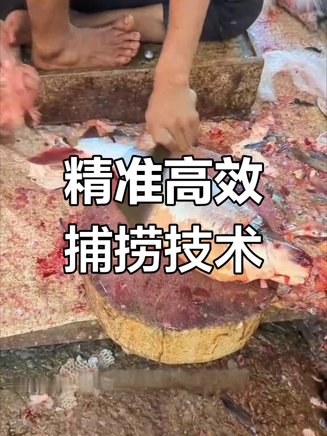 印度鲨鱼师傅的精湛技艺,快速去鳞切块,轻松搞定巴沙鱼
