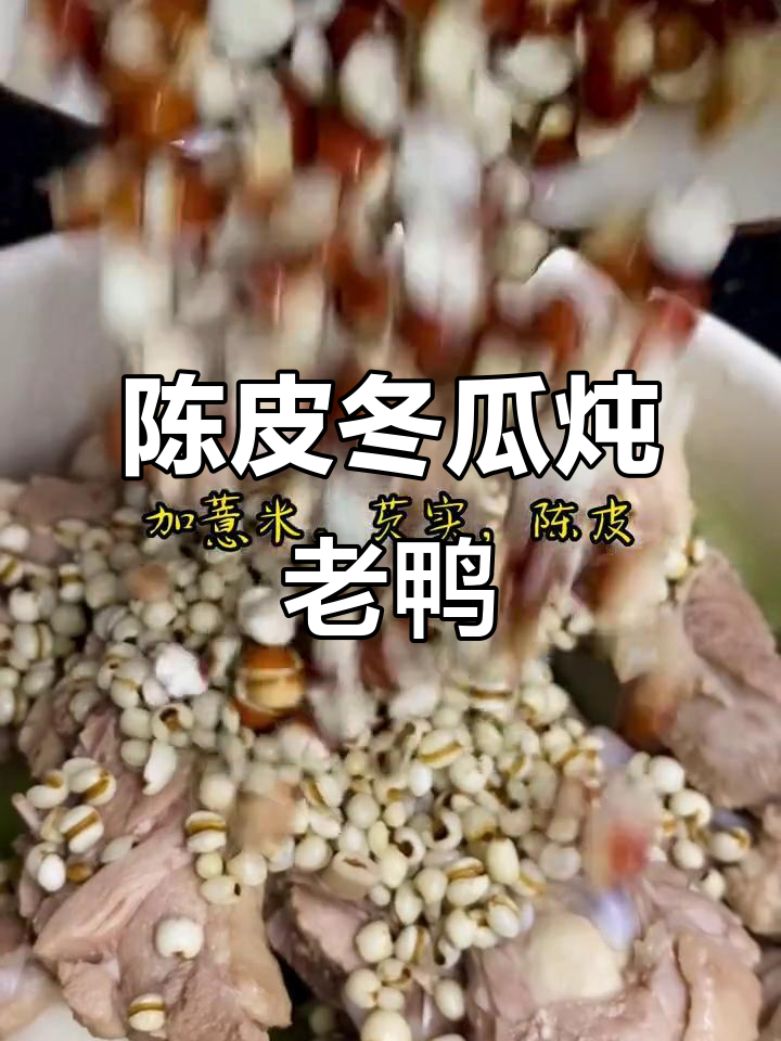 冬瓜陈皮煲老鸭汤,营养满满又美味