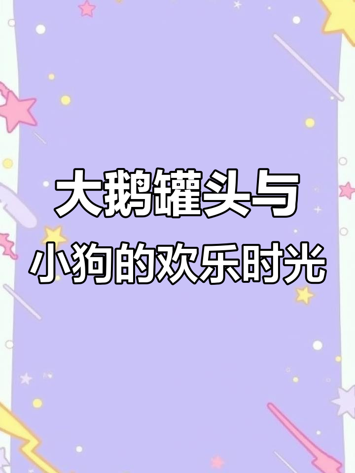 鲑鱼油大鹅罐头,五种草药加持,小狗吃得超欢快