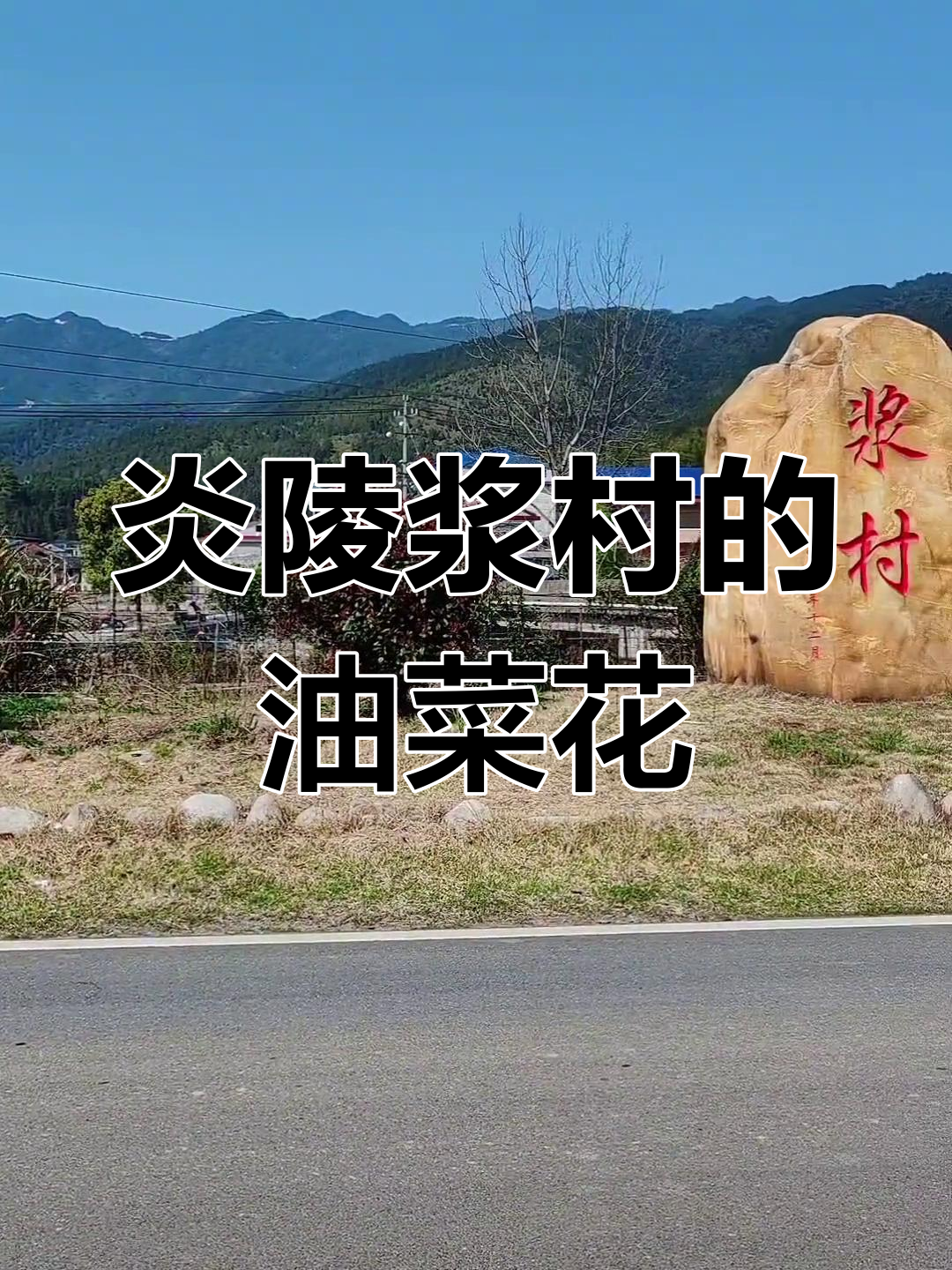 炎陵浆村:油菜花开映衬下的美丽乡村