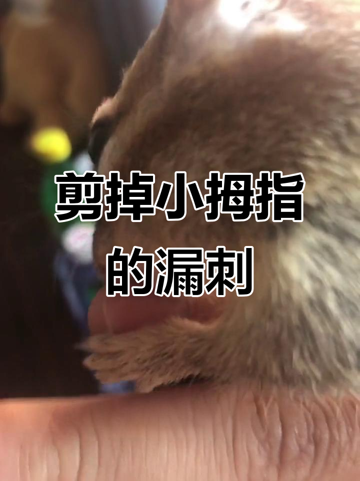 小拇指上的肉刺轻松搞定,奖励宝贝摸头安抚