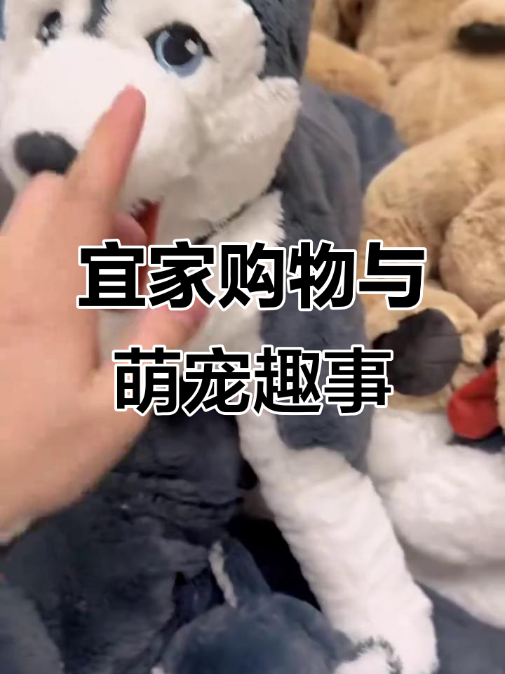 宜家购物日常,憨态可掬的动物们和那些“花里胡哨”的家用品