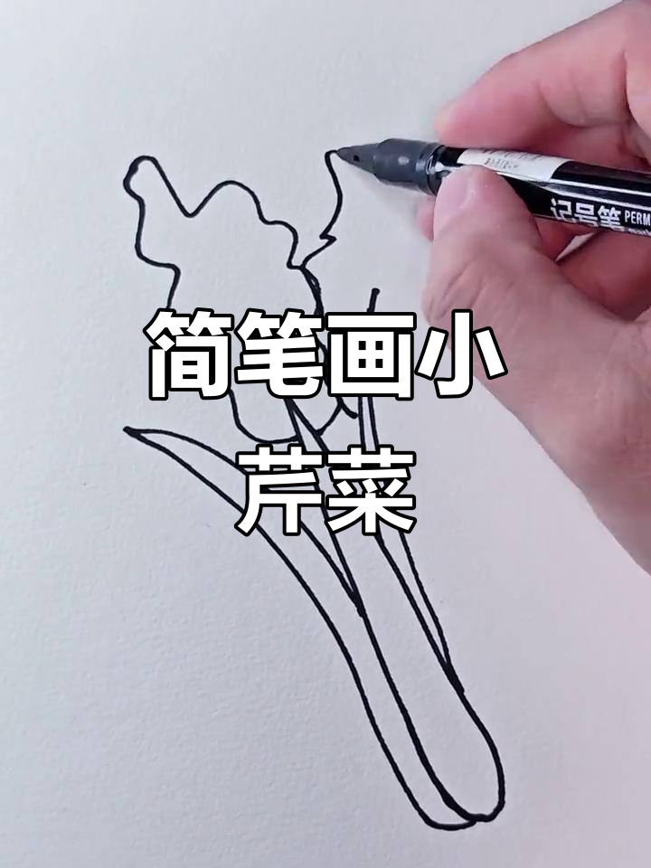 轻松画芹菜,简单又有趣