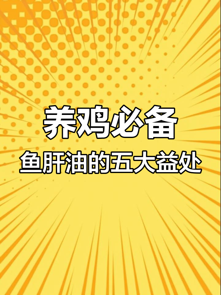 鱼肝油在养鸡中的神奇作用,竟然有这么多好处