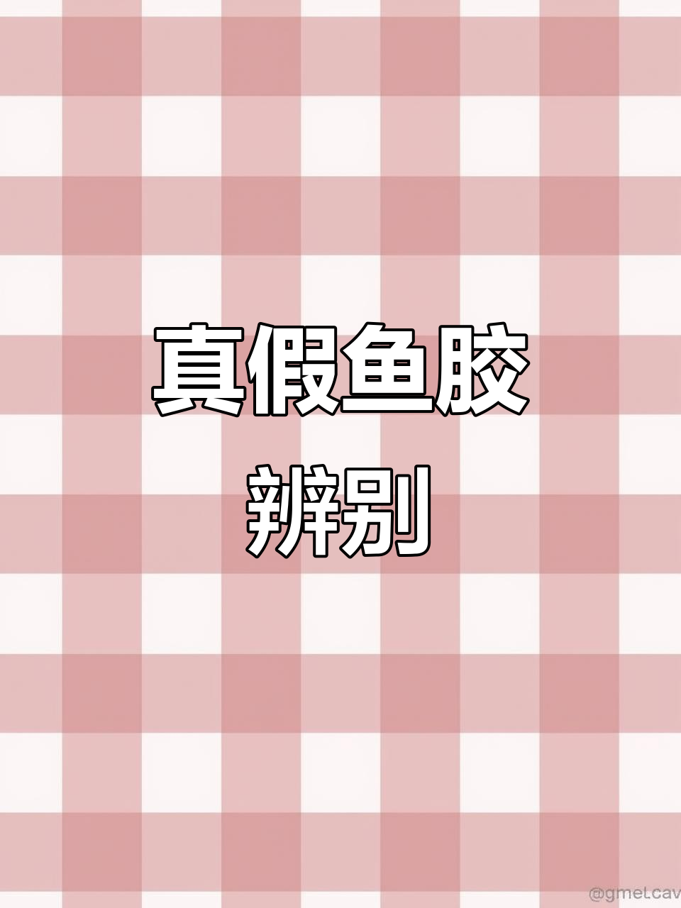 真假鱼胶大揭秘!深海花椒桶泡发实验