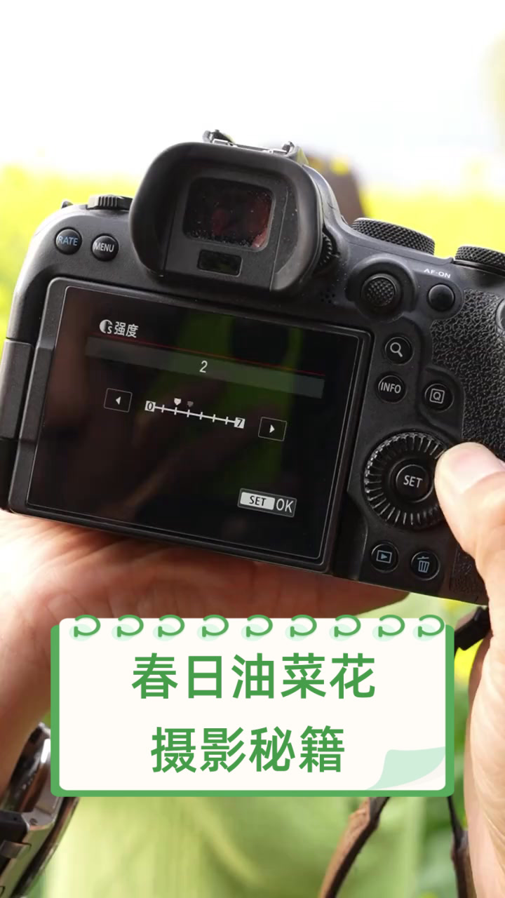 春日油菜花摄影秘籍