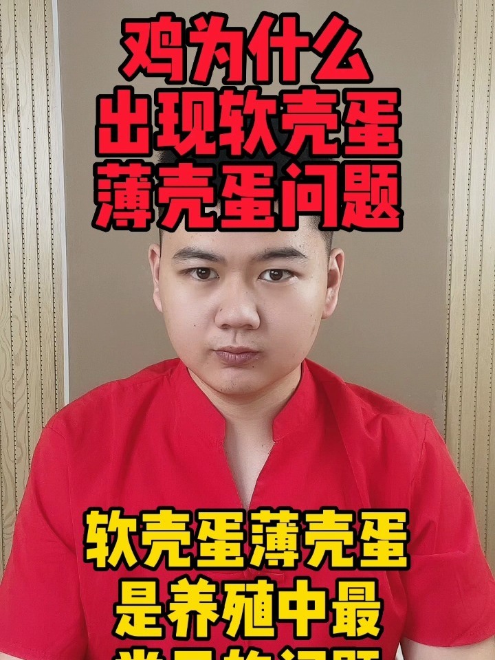 母鸡老是生软壳蛋是为什么小鸡下软皮蛋是怎