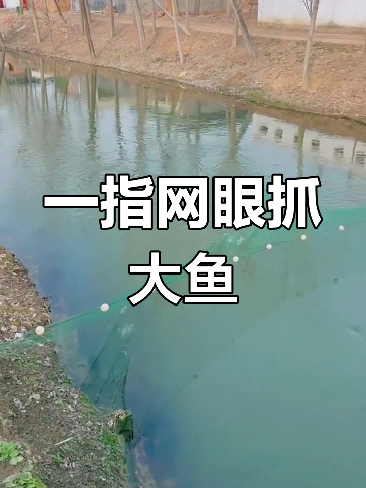 进口八字网轻松捕鱼,大小通吃,防跑设计让鱼儿无路可走