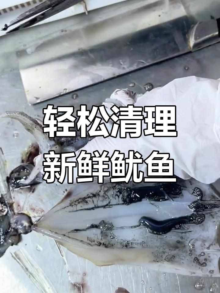 清洗鱿鱼超简单,教你快速去木囊和眼睛