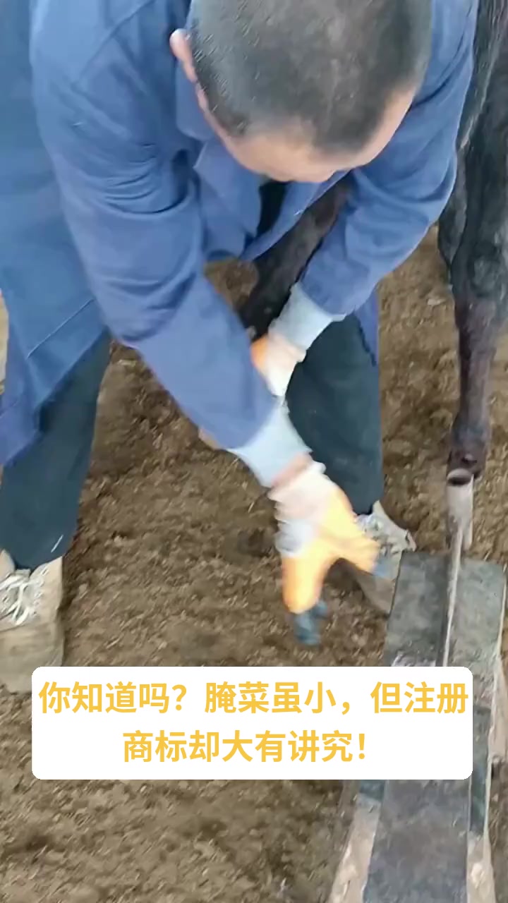 腌菜注册商标属于第几类