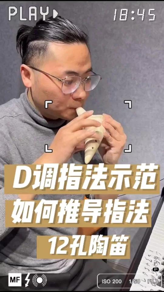 12孔陶笛D调指法快速掌握