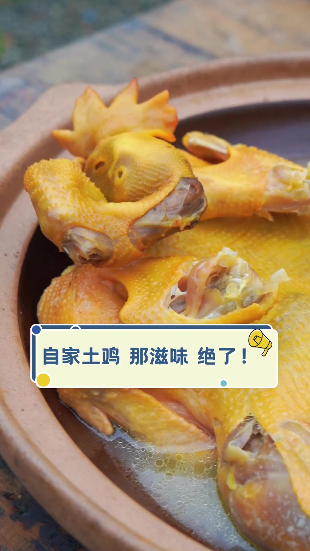 自家土鸡,那滋味,绝了!