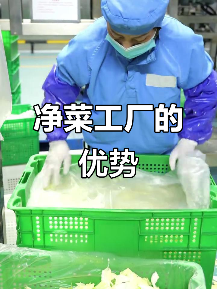 净菜加工与家庭做菜的差别,冰水清洗、精准切割更省心