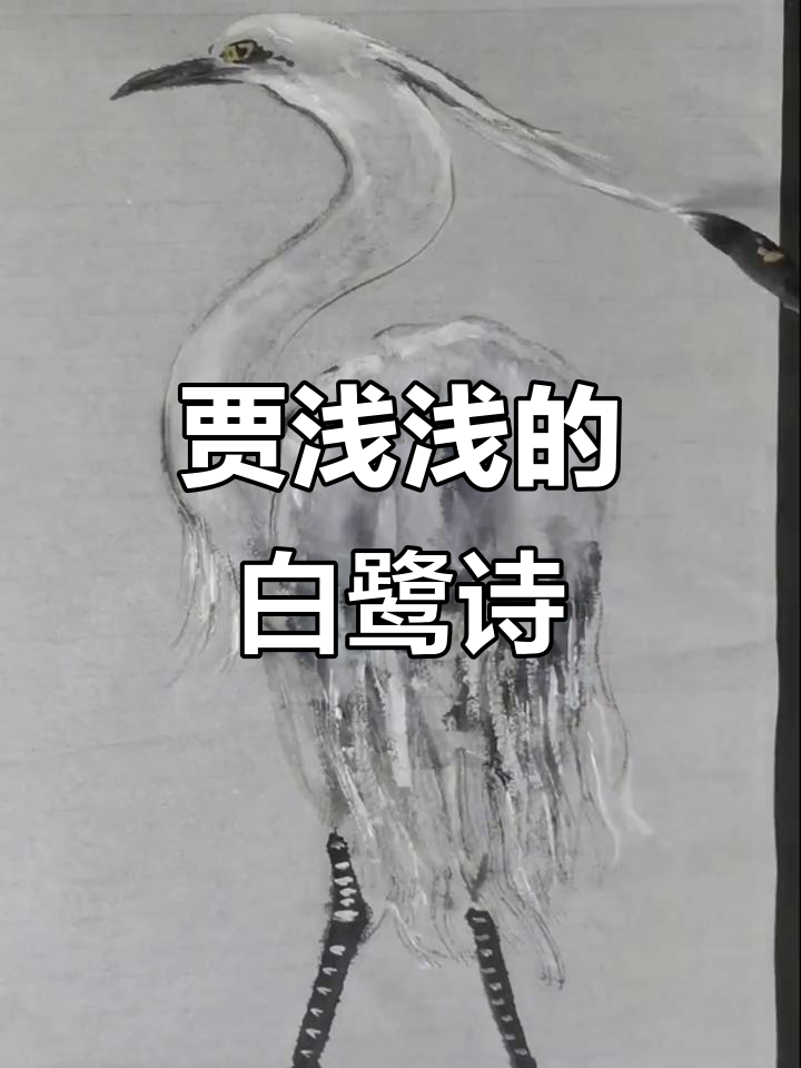 白鹭羽毛的诗意与画法,捕捉捕鱼小年轻的风采