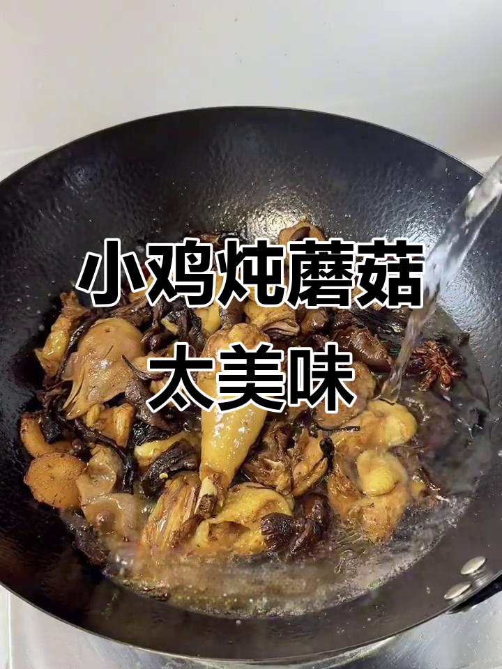 东北大姨教我做小鸡炖蘑菇,鲜香十足让人无法抗拒