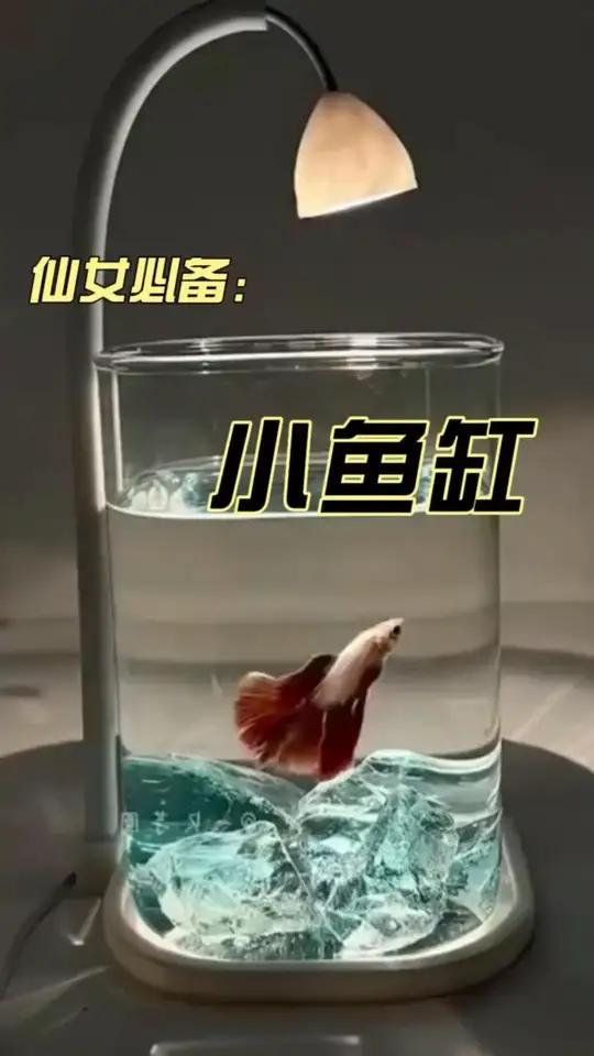 鱼缸斗鱼专用超白小型懒人玻璃缸客厅创意桌面摆件高级感观赏灯