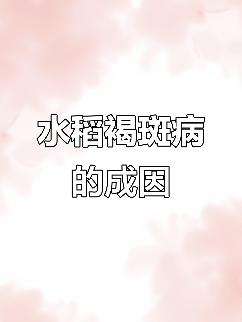 水稻褐斑病原因分析:生理性与细菌性区别