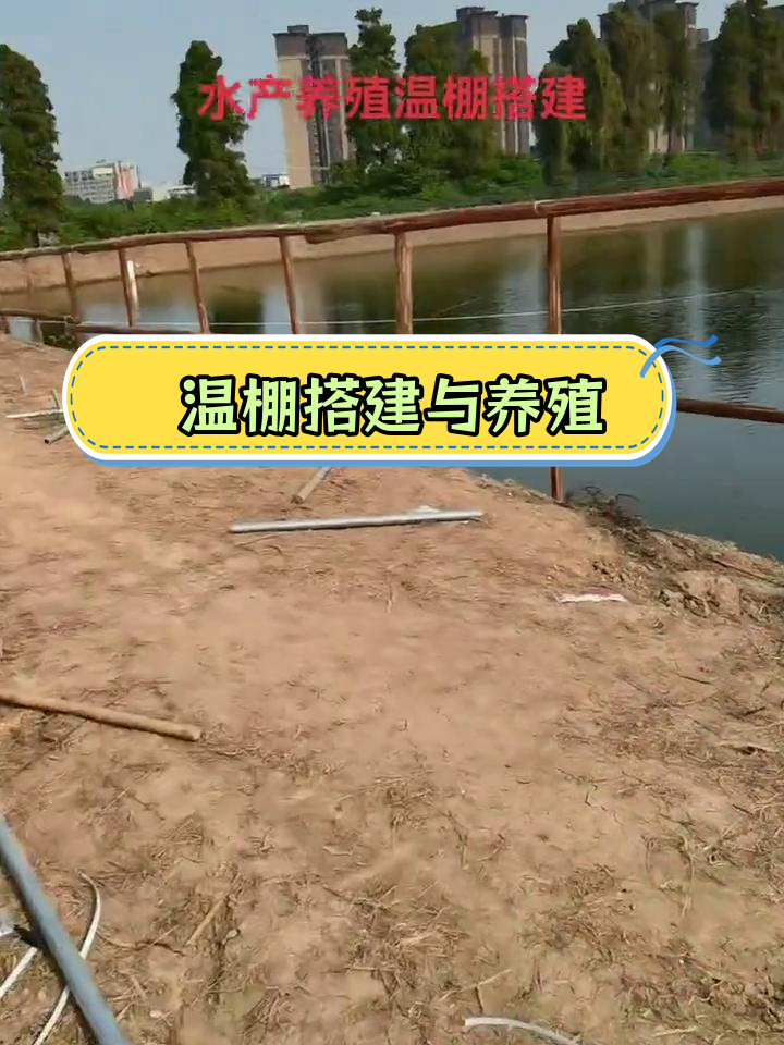 专业团队搭建鱼塘大棚,确保工作质量