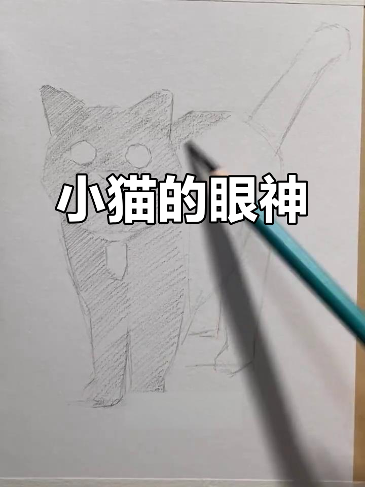 姨姨手里的小鱼干,猫咪眼神瞬间变得炯炯有神!