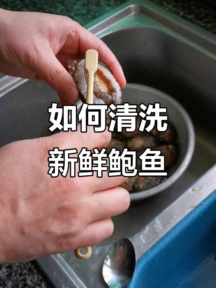 新鲜鲍鱼处理技巧,轻松刷洗干净