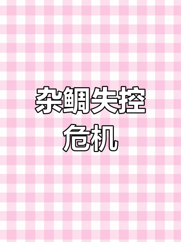 杂鲷疯狂攻击,凤尾与鳑鲏一夜消失,食人鱼来制服