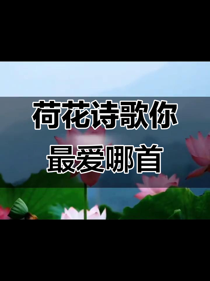 你最爱的荷花诗是哪一首?从杨万里到李清照,经典诗词大比拼