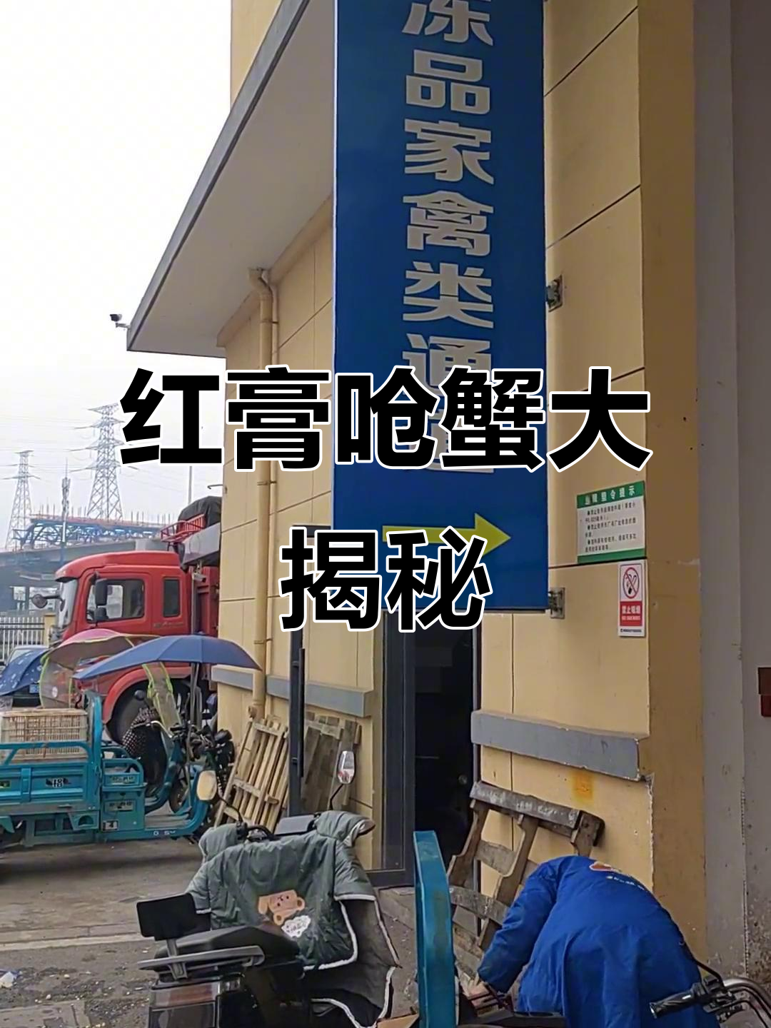 探秘东平通,红膏呛蟹的秘密就在这里