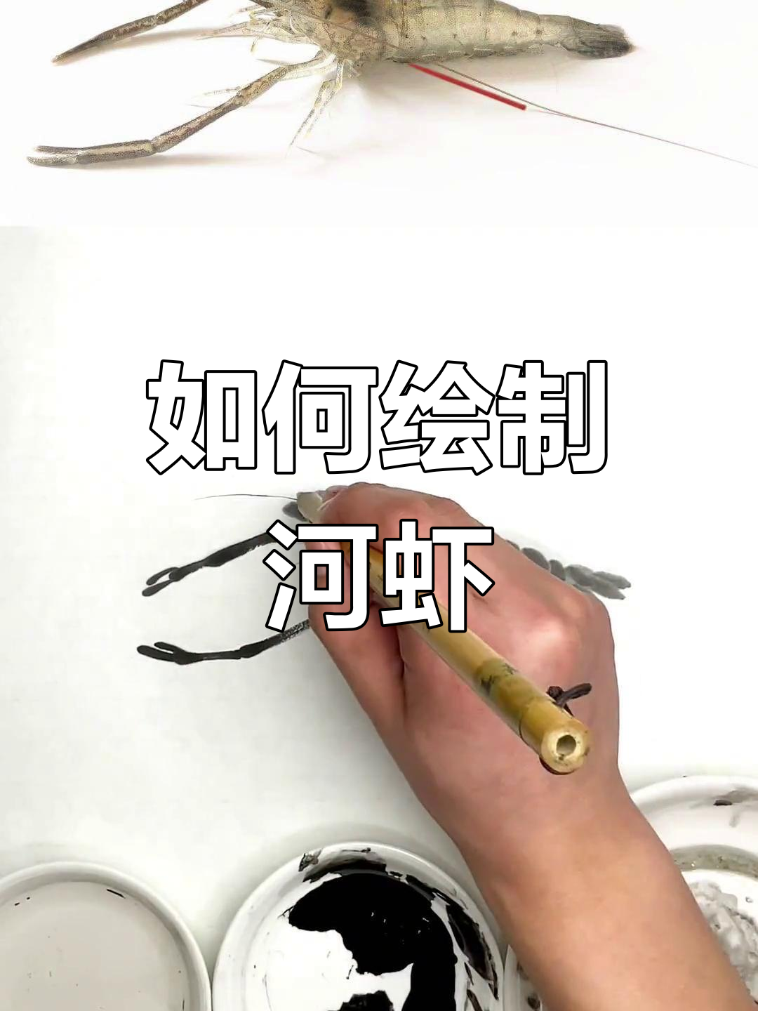 河虾画法技巧解析