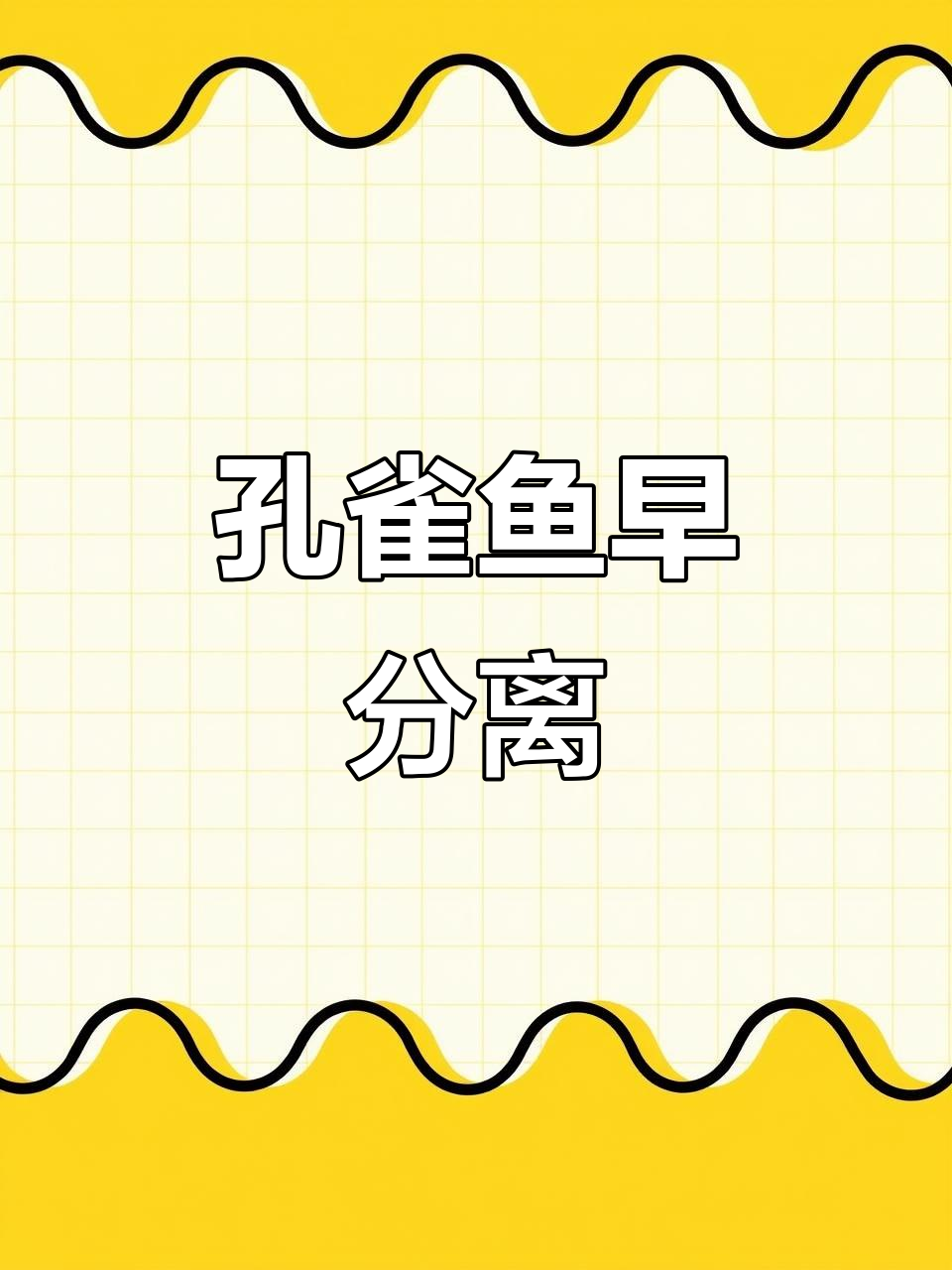 三个月孔雀鱼怀孕,新手必看:及时隔离公母!