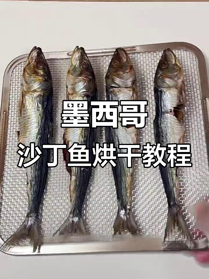 墨西哥沙丁鱼烘干技巧,轻松去鳞内脏处理